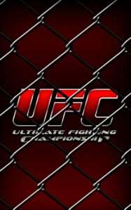 HD-wallpaper-ufc-mma-fight-cage